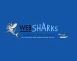 WebSharks Inc